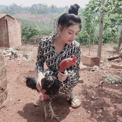 Alaric – Tác Giả Nội Dung Đá Gà SV388